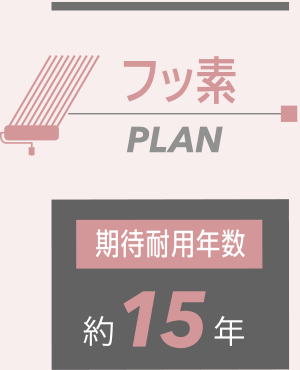 フッ素